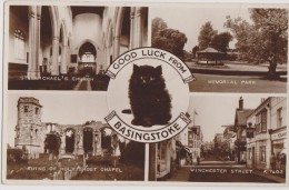 Carte Photo,1909,basingstoke,an Gleterre,chat,church,memo Rial Park,holy Ghost Chapel,winchester Street - Sonstige & Ohne Zuordnung