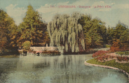 FRANCE THEME SANTE  EXPOSITION    PASTEUR   STRASBOURG   1923 - Enfermedades