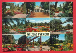 159172 / Weltbad Pyrmont -  Im Palmengarten MIT DEM SCHONSTEN KURPARK DEUTSCHLANDS - Germany Deutschland Allemagne - Bad Pyrmont