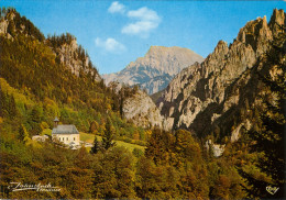 AK Steiermark 8912 Johnsbach Im Gesäuse Bergsteigerdorf Großer Buchstein Gr. Österreich I.Austria Autriche Ansichtskarte - Gesäuse