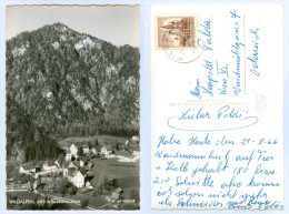 AK Steiermark 8924 Wildalpen Verlag P. Ledermann 1963 Österreich Ansichtskarte Austria Autriche Picture Postcard - Wildalpen