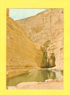 Postcard - Israel, Ein Avdat     (V 23626) - Israel