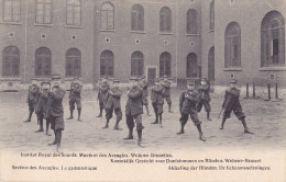 WOLUWE-SAINT-PIERRE : Institut Royal Des Sourds-muets Et Des Aveugles - La Gymnastique - St-Pieters-Woluwe - Woluwe-St-Pierre