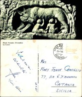 69255 ) Cartolina  Di Avenches- Musee Romain -la Louve-viaggiata - Avenches