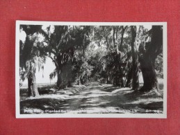 - Louisiana>   Rppc   Pine Alley   -- Ref  1660 - Other & Unclassified