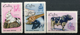 (cl 21 - P23) Cuba ** N° 1336 - 1337 - 1339 (ref. Michel Au Dos) - Elevage : Lapins, Porcs, Bœufs - - Unused Stamps