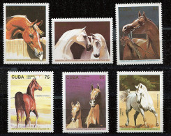 (cl 21 - P23) Cuba ** N° 3455 à 3460 (ref. Michel Au Dos) - Singapore 95" Chevaux Arabes - - Unused Stamps