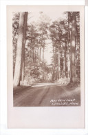 CASS LAKE MN Bay View Loop Forest Rppc Photo Card Minnesota Usa - Andere & Zonder Classificatie