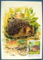 HONGRIE HERISSON Yvert N°3073 Carte Maximum, FDC 1 Er Jour  (protection De La Nature) 1986 - Rodents