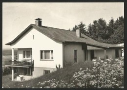 BERG Am Irchel GRUEBHALDE Andelfingen ZH 1982 - Andelfingen