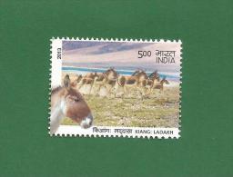 INDIA 2013 - Wild Ass - KIANG : LADAKH - MNH ** - Mammals - As Per Scan - Neufs