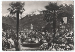 Italy - Merano - Panorama - Meran - Photo Postcard - 1960 - Merano