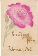 Johnson Nebraska, Greetings From Johnson, Flower, C1900s Vintage Postcard - Other & Unclassified