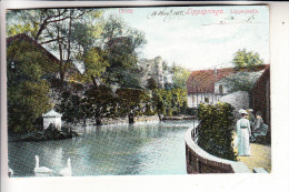 4792 BAD LIPPSPRINGE, Lippequelle, 1907 - Bad Lippspringe