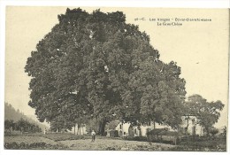 ETIVAL-Le Gros Chêne - Etival Clairefontaine