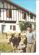 ATTELAGE BASQUE DEVANT LA FERME - Equipos