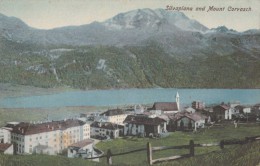 Switzerland, Suisse, Silvaplana And Mount Corvasch, Early 1900s Unused Postcard [15703] - Silvaplana