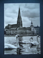 Germany: SCHWERIN - Blick Zum Dom - Schwan Schwäne Swan - 1970s - Schwerin