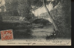 Moneteau Pont De Sommeville - Moneteau