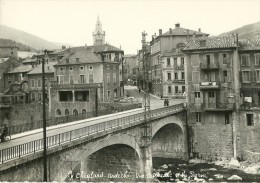 LE CHEYLARD ARDECHE  VUE CENTRALE ET LA DORNE EDIT  A. ROCHE - Le Cheylard