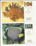 2 CARTES MAXIMUM DE L'AQUARIUM DE NOUMEA NOUVELLE CALEDONIE  POISSONS FISH    LETTRE  COVER - Cartas & Documentos