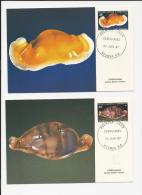 2 CARTES MAXIMUM DE NOUMEA NOUVELLE CALEDONIE  COQUILLAGE SHELL   LETTRE  COVER - Covers & Documents