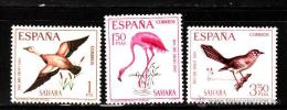 SAHARA - AÑO / ANNE / YEAR 1967 - EDIFIL Nº 262/64 ** MNH - DIA DEL SELLO - FAUNA - AVES - Spaanse Sahara