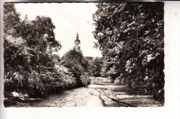 NL - OVERIJSSEL - ALMELO, Gravenallee, "Het Kolkje" - Almelo