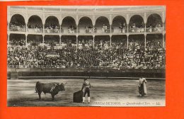 Corrida De Toros - Quaudrando El Toro - Corridas