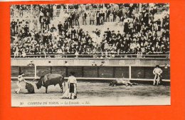 Corrida De Toros - La Estocada - Corridas