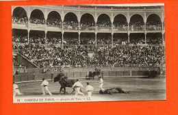 Corrida De Toros - Arrastre Del Toro - Corridas