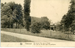 TRIBOMONT UNE VUE DU PARC VERS LA FERME - Herve