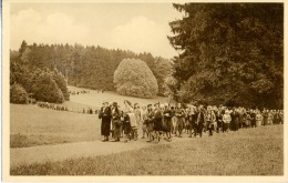 CHATEAU D ARDENNE PROMENADE DANS LE PARC - Collections & Lots