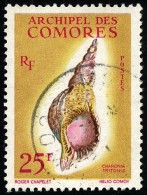 COMORES 1962 - Yv. 24 Obl.   Cote= 16,00 EUR - Coquillage Charonia Tritonis ..Réf.AFA21871 - Usati