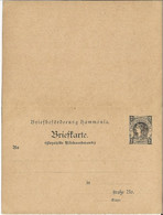 PRIVAT-STADTPOST - CARTE ENTIER POSTAL AVEC REPONSE PAYEE De BRAUNSCHWEIG - HAMMONIA - Privatpost