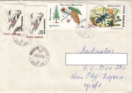 R51705- WOODPECKER BIRD, PINE TREE, BEETLE, STAMPS ON COVER, 1997, ROMANIA - Cartas & Documentos