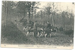 CPA  Forêt De Rambouillet  -  Chasses à Courre, Avant Le Découplé. - Rambouillet