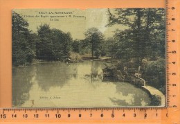 RILLY-LA-MONTAGNE: Chateau Des Rozais, Le Lac, Carte " Toilée " - Rilly-la-Montagne