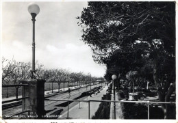 Mazara Del Vallo. Lungomare - Mazara Del Vallo