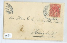 BRIEFOMSLAG  Uit 1913 GELOPEN VAN  's-GRAVENHAGE Naar HENGELO * NVPH NR 60   (9551) - Cartas & Documentos