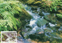 Maximumkarte Luxemburg 2001 - Kleine Luxemburger Schweiz - Naturpark - Quelle - Wasser - Belgica Juni 2001 - Tarjetas Máxima