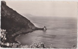 Algérie,AFRIQUE DU NORD,BOUGIE,Béjaia EN 1959,cap Carbon,,falaise,grotte,ti Chy,pointe Sainte Anne - Bejaia (Bougie)