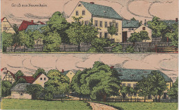 Litho AK Gruss Aus Nauenhain Ortsansicht Schule ? Gasthaus ? Bei Geithain Colditz Rochlitz Tautenhain Lausick Königsfeld - Geithain