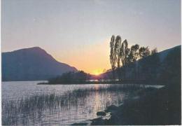 Suisse - Lac De Lauerz Lauerzersee - Lauerz