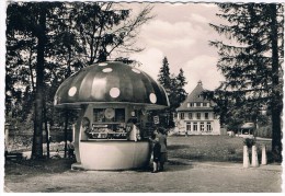 D4996     LINDENBERG I. ALGAU : Waldseehotel ( Pilzenladen- Paddestoelwinkel-Mushroomshop) - Lindenberg I. Allg.