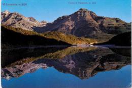 Suisse - Alta Valtellina Valle Di Fraele Lago Dele Scale - Other & Unclassified