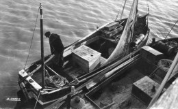 Le Hourdel. Barques De Pêche. (Avec Marin). - Le Hourdel