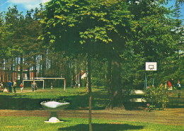 Kalmthout Heide  Openluchtschool Voor Bosklassen - Kalmthout