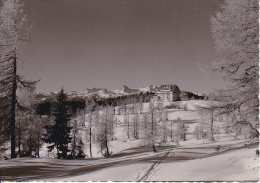 AK Linzer Tauplitzhütte - 1960 (11300) - Tauplitz