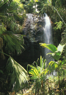 Praslin ; Vallée De Maie - Seychelles